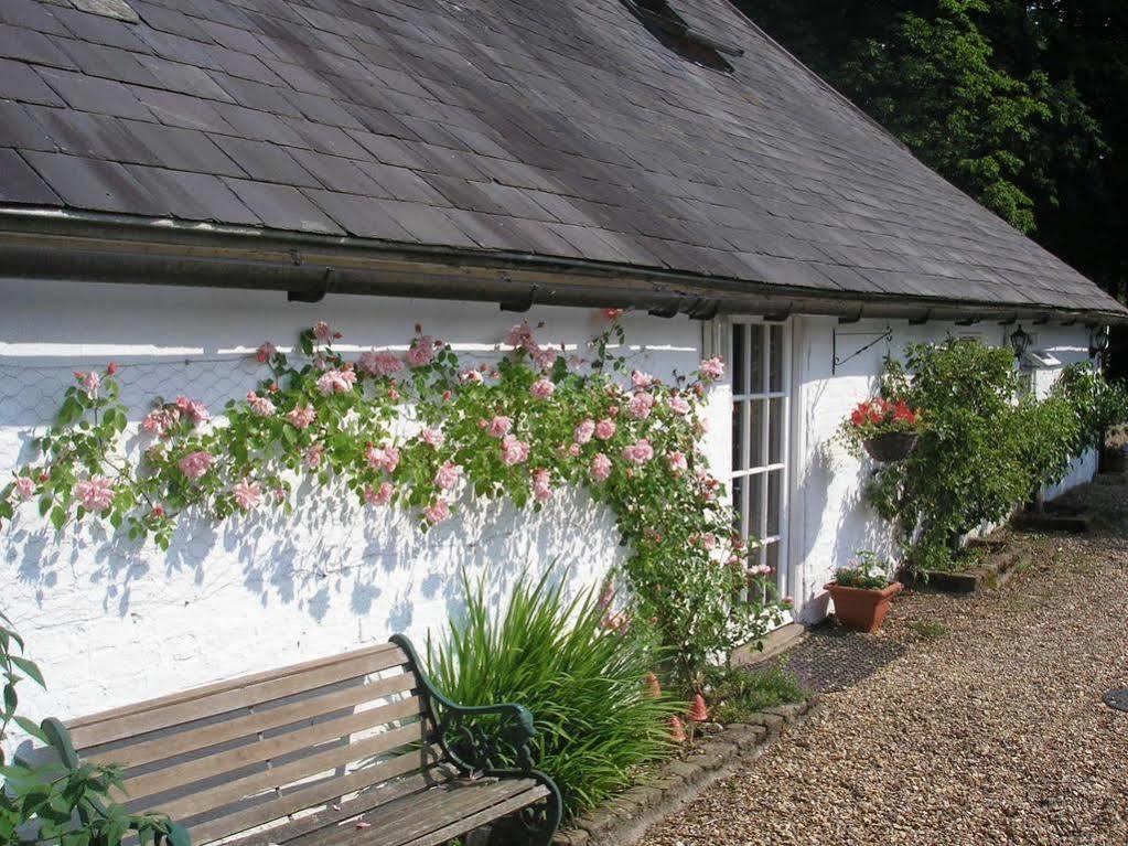 Detling Coachhouse Bed & Breakfast Maidstone Exterior photo