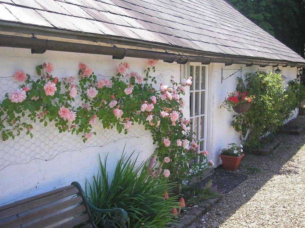 Detling Coachhouse Bed & Breakfast Maidstone Exterior photo